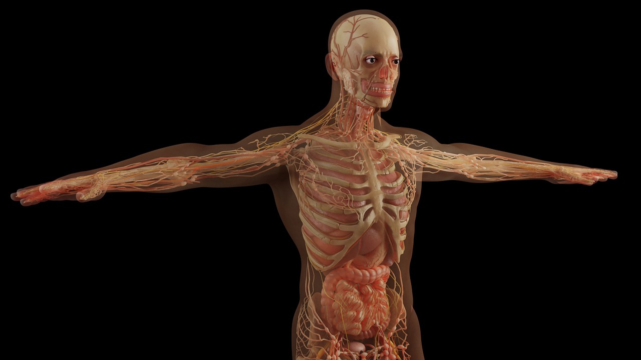 A Deeper Dive into Human Behavior: An Aspect of Safety